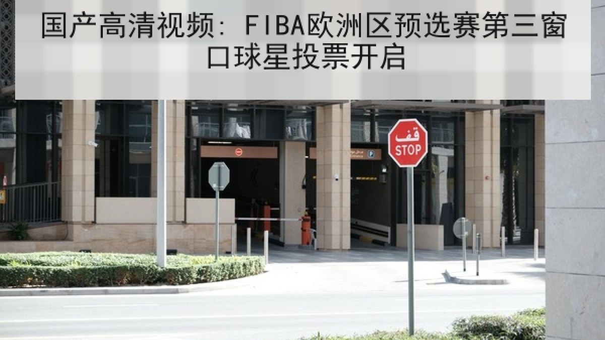 国产高清视频: FIBA欧洲区预选赛第三窗口球星投票开启