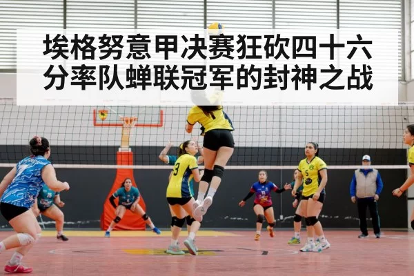 volleyball match arena