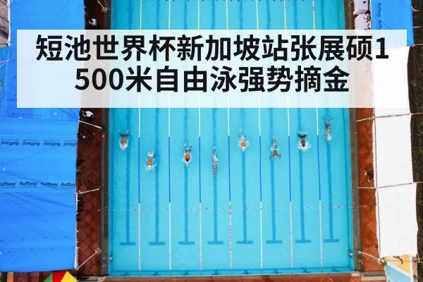 短池世界杯新加坡站张展硕1500米自由泳强势摘金