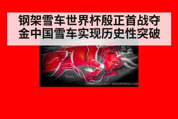 钢架雪车世界杯殷正首战夺金中国雪车实现历史性突破